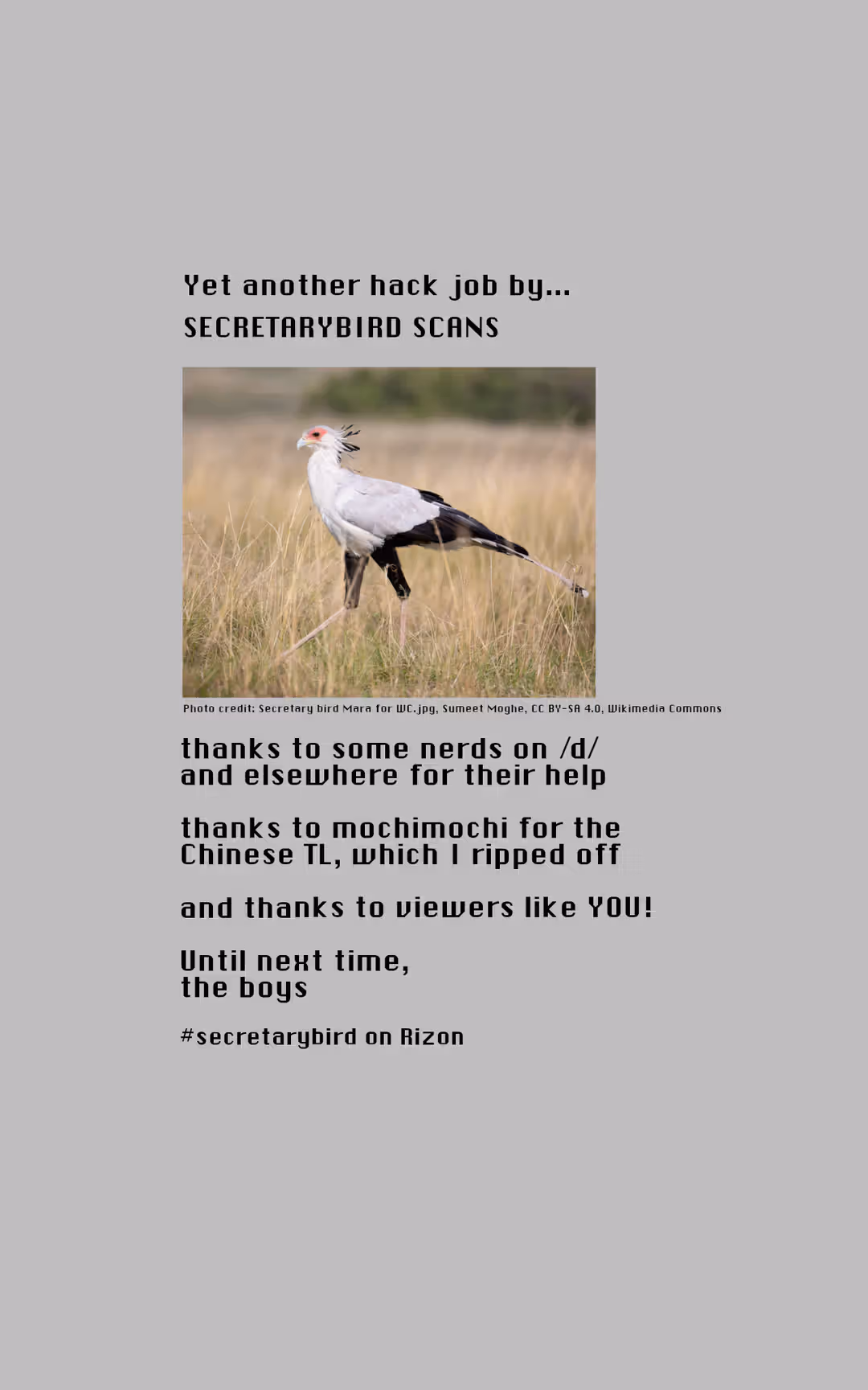 /galleries/2723645/37.avif