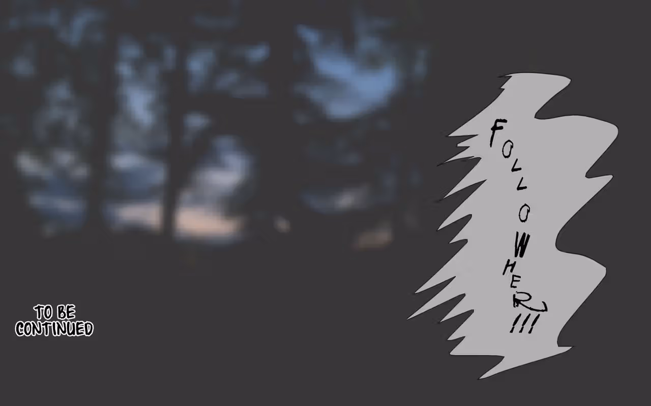 /galleries/2732626/265.avif