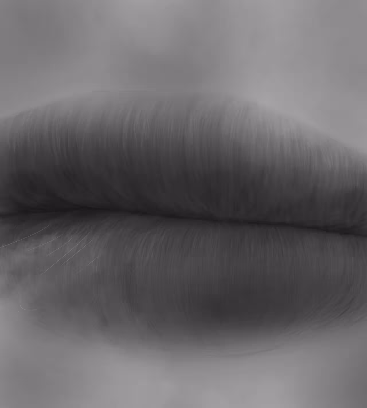/galleries/3047817/346.avif